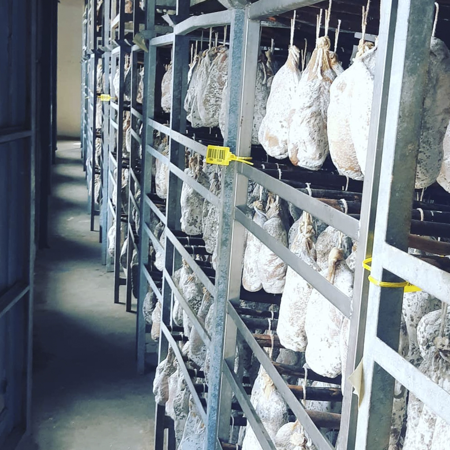 Alimentech ofereix serveis de consultoria tècnica: Assessorament en la millora dels processos i instal·lacions. Implementació APPCC i de programes dels prerequisits. Etiquetatge. Elaboració fitxes tècniques.